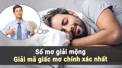 Nằm mơ thấy bị đòi nợ đánh con gì? Tốt hay xấu?